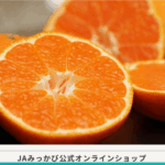 FireShot Capture 029 - 果物EXPRESS - JA連携！産地直送通販なら産直プライム - [sanchoku-prime.com]