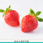 FireShot Capture 035 - 果物EXPRESS - JA連携！産地直送通販なら産直プライム - [sanchoku-prime.com]