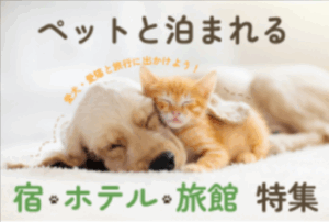 ホテル・旅館・宿の宿泊予約-国内旅行【JTB】-05-04-2025_06_23_PM3